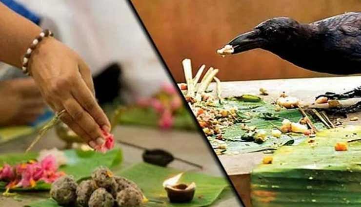 astrology tips,astrology tips in hindi,shraddh 2020,shraddh importance,shraddh effect