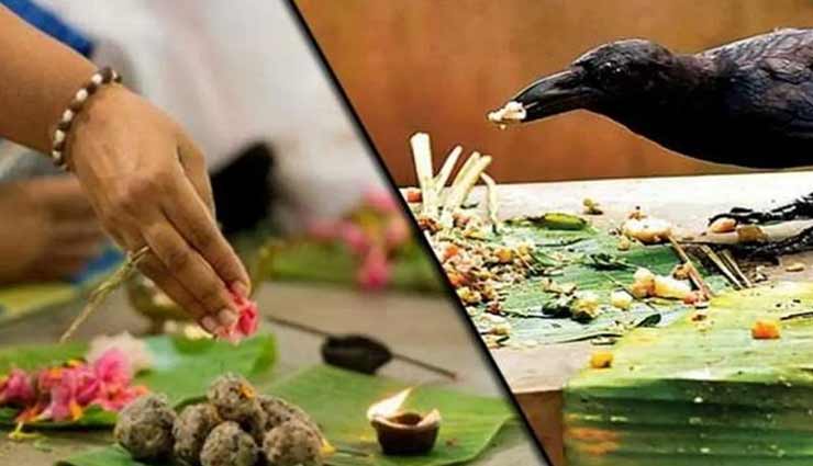 astrology tips,astrology tips in hindi,shraddha paksh 2020,shraddha rules