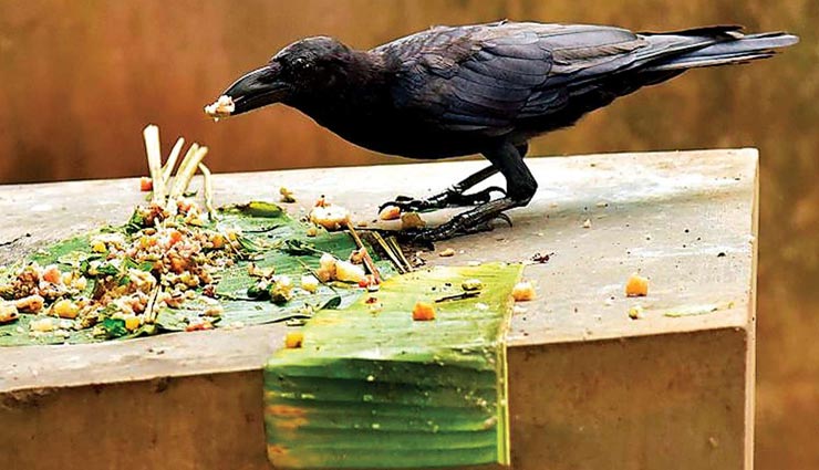 astrology tips,astrology tips in hindi,shradh 2021,pitru paksha 2021