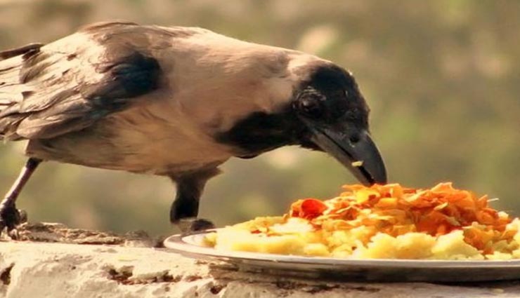 astrology tips,astrology tips in hindi,shraddha paksha,mistakes in shraddha paksha,reason of ancestors angry