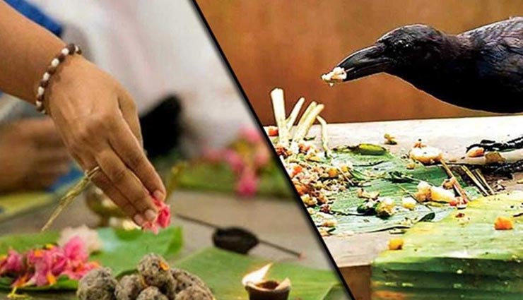 astrology tips,astrology tips in hindi,pitrupaksha,shraddha paksha,donate things in shraddha paksha