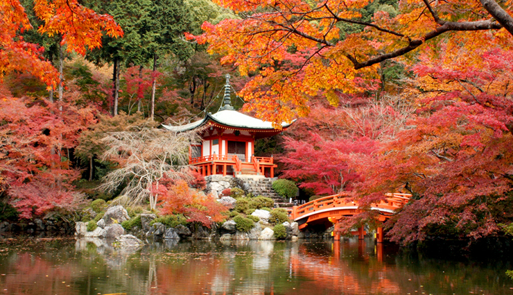 shrines in japan,japan,kunōzan tōshō-gū,mii-dera,mikami shrine,hiyoshi taisha,ujigami shrine,shimogamo shrine,kamigamo shrine,daigo-ji,toyokuni shrine,kitano tenmangū,japan