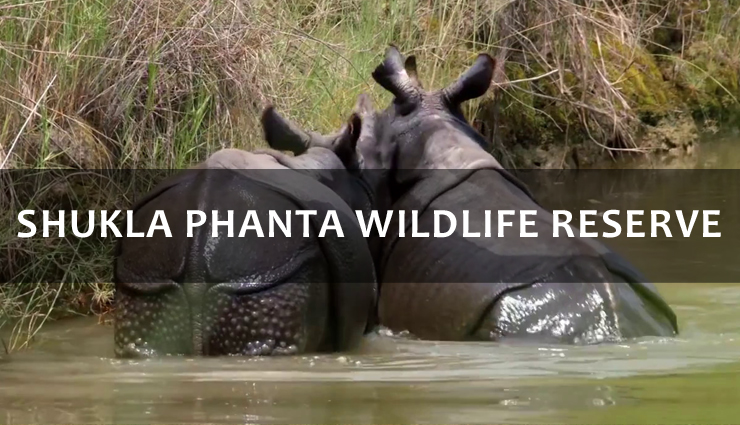 wildlife sanctuaries to visit in nepal,best wildlife sanctuaries to visit in nepal,7 best wildlife sanctuaries to visit in nepal,chitwan national park,parsa wildlife reserve,shukla phanta wildlife reserve,sagarmatha national park,makalu barun national park,annapurna conservation area,kanchenjunga conservation area,nepal travel,holidays,travel guide,travel tips