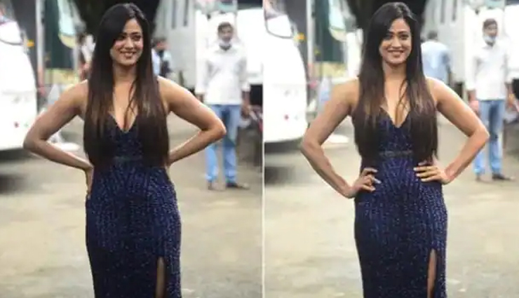 shruti haasan,shweta tiwari,viral photos,entertainment