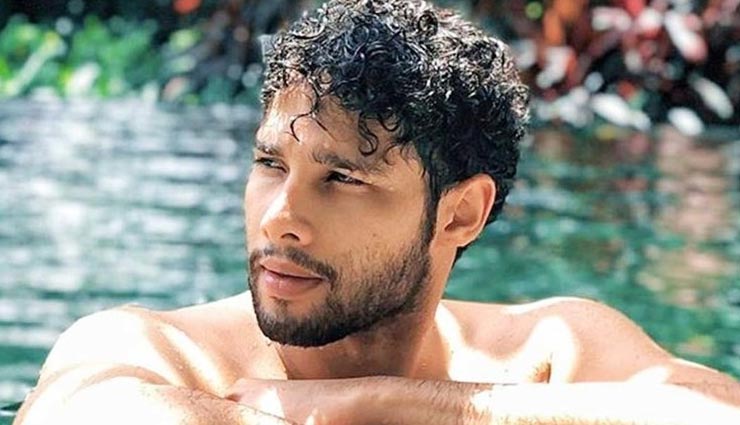 gully boy,siddhant chaturvedi,gully boy sequel,ranveer singh,ranveer singh movie,entertainment,bollywood