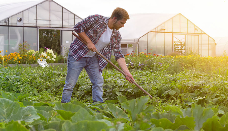 peanuts and their negative health effects,dangers of excessive peanut consumption,side effects of eating too many peanuts,health risks of overindulging in peanuts,peanuts and their harmful consequences,the downside of eating too many peanuts,adverse effects of consuming large amounts of peanuts,peanut overdose and its consequences,risks of excessive peanut intake,negative consequences of eating peanuts in excess