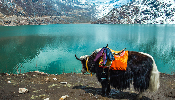 sikkim,places to visit in sikkim,tourist attraction in sikkim,gangtok,tsomgo lake,nathula pass,kanchenjunga base camp,lachen,lachung and yumthang valley,pelling