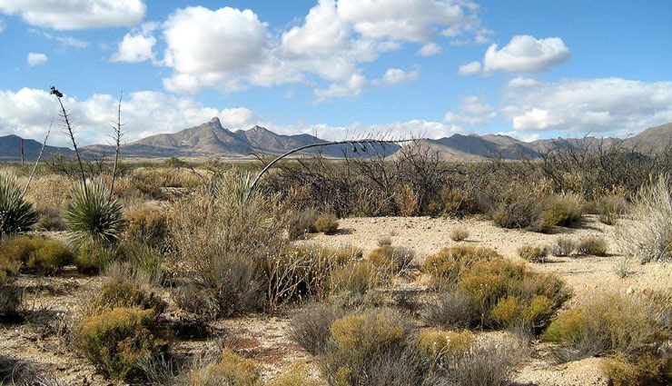 इस जगह जाते ही बंद हो जाएगा आपका मोबाइल, 'जॉन ऑफ़ साइलेन्स' के नाम से मशहूर weird story,mobiles,zone of mobiles,mobiles not work