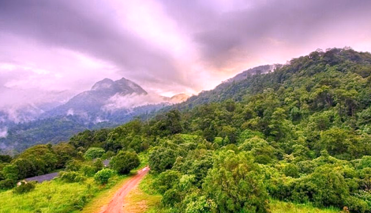 wildlife sanctuaries in kerala,best wildlife sanctuaries in kerala,top wildlife sanctuaries to visit in kerala,kerala wildlife tour,kerala wildlife sanctuaries list,best wildlife destinations in kerala,famous wildlife sanctuaries in kerala,kerala national parks and wildlife sanctuaries,visit kerala wildlife sanctuaries,wildlife sanctuaries for nature lovers in kerala,kerala wildlife photography spots,nature reserves in kerala,kerala wildlife sanctuary travel guide,elephant sanctuaries in kerala,bird sanctuaries in kerala