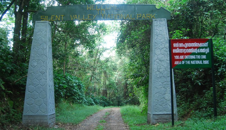 kerala tourist places,places to visit in kerala,kerala places,beautiful places in kerala,most beautiful places in kerala,kerala trip,kerala destinations,tourist spots in kerala,top tourist places in kerala,places to see in kerala,must visit places in kerala,kerala tourist,kerala travel,tourist attractions in kerala,kerala visit,places to go in kerala,beautiful tourist places in kerala,top places in kerala,top 5 tourist places in kerala