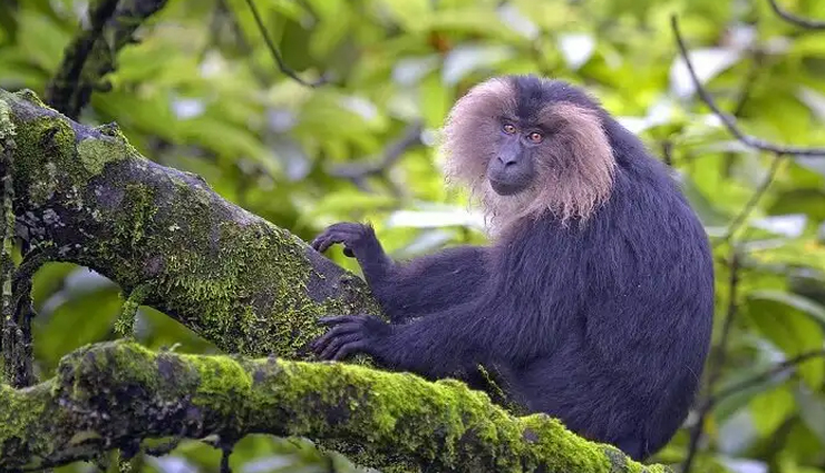 road trips you can take from coimbatore,holidays,travel