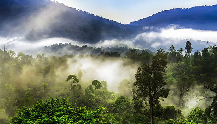 famous points to visit in kodaikanal,kodaikanal tourist spots,kodaikanal travel guide,hill stations in tamil nadu,best viewpoints in kodaikanal,kodaikanal tour packages,places to visit near madurai,scenic spots in kodaikanal,kodaikanal travel itinerary,kodaikanal sightseeing