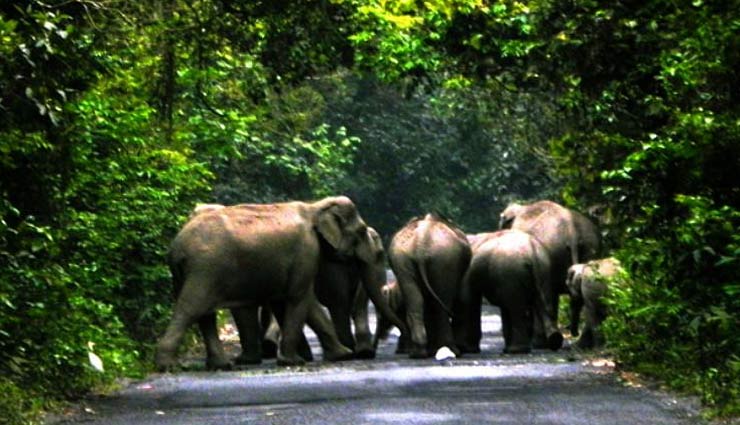 siliguri,siliguri tourism,places to visiti in siliguri,holidays,tourism,travel,major attractions in siliguri