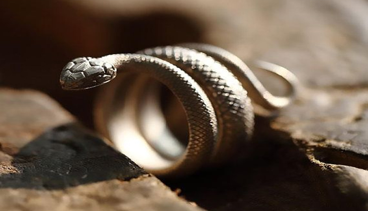 astrology tips,astrology tips in hindi,sawan,sawan special,sawan 2020,lord shiva,nag panchami 2020