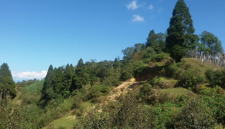 tourist attractions in darjeeling,places to visit in darjeeling,darjeeling sightseeing spots,famous landmarks in darjeeling,top tourist destinations in darjeeling,cultural heritage sites in darjeeling,darjeeling himalayan railway,tea gardens in darjeeling,darjeeling mall road,tiger hill sunrise view