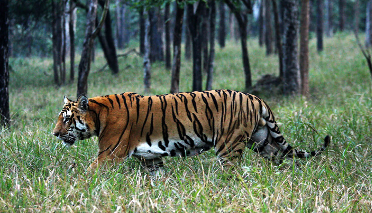 orissa,attractions in orissa,jagannath temple puri,lingaraja temple bhubaneswar,sun temple konark,dhauli hill,chandipur beach,barehipani falls,hirakud dam,gupteswar cave temple,chandi temple cuttack,barabati fort,deulajhari hot spring,ratnagiri monastery,chilika lake,mahanadi river,daringibadi hill station,hanuman vatika,bhitarkanika mangroves,udayagiri khandagiri caves,nandankanan zoological park,simlipal national park,temples of bhubaneswar,holidays,travel,tourist places in orissa