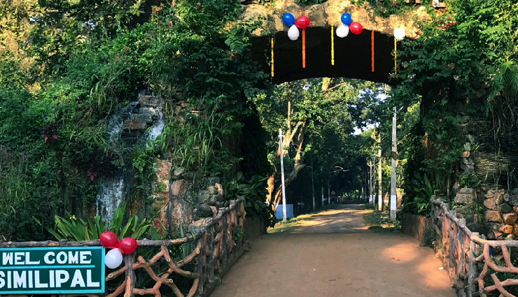 tourist spots in odisha,places to visit in odisha,odisha travel destinations,odisha sightseeing spots,odisha tourism attractions,best tourist places in odisha,odisha travel guide,must-visit places in odisha,top odisha tourist spots,odisha vacation spots,odisha travel experiences,odisha adventure destinations,cultural odyssey in odisha,odisha sightseeing highlights,exploring odisha wonders,odisha travel recommendations,odisha tourism gems,odisha iconic landmarks,unforgettable odisha journeys,discovering odisha treasures,odisha exploration adventures,odisha historical marvels,unique experiences in odisha,odisha scenic marvels,odisha hidden gems