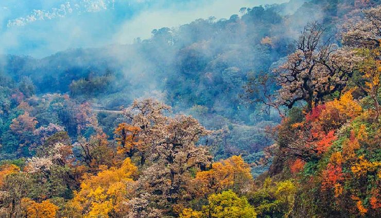 beautiful places in sikkim,sikkim travel destinations,nathu la pass,gangtok sightseeing,khecheopalri lake,lachung village,yumthang valley,bakthang waterfall,singalila national park,pelling sikkim,best places to visit in sikkim