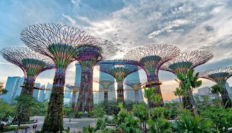 singapore,places to visit in singapore,gardens by the bay,sentosa island,little india,go for a hike at southern ridges,botanic gardens,wildlife in sungei buloh wetlands