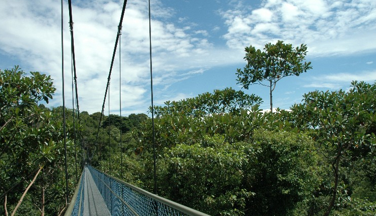 singapore,things to do in singapore,places to visit in singapore,treetop walk at macritchie reservoir,ride on the singapore flyer,g-max reverse bungy,skydiving at ifly,ziplining at megazip adventure,marina bay sands