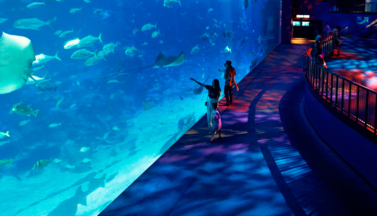 singapore with kids,things to do in singapore with kids,singapore,s e a aquarium on sentosa island,gardens by the bay,marina bay sands light and water show,singapore night safari,adventure cove water park