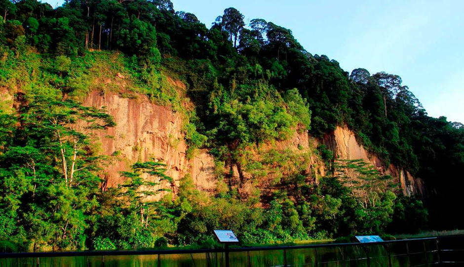10 Amazing National Parks To Explore in Singapore