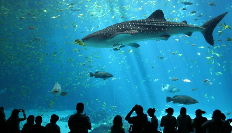 singapore,places to visit in singapore,tourist spots in singapore,little india and the arab street,universal studios,sea aquarium,marina bay sands,gardens by the bay,botanic gardens,singapore zoo