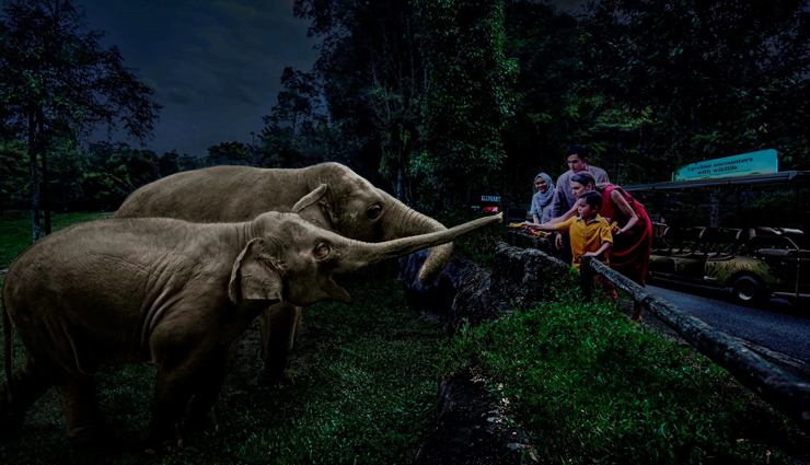 singapore with kids,things to do in singapore with kids,singapore,s e a aquarium on sentosa island,gardens by the bay,marina bay sands light and water show,singapore night safari,adventure cove water park