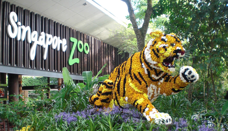 singapore,places to visit in singapore,tourist spots in singapore,little india and the arab street,universal studios,sea aquarium,marina bay sands,gardens by the bay,botanic gardens,singapore zoo