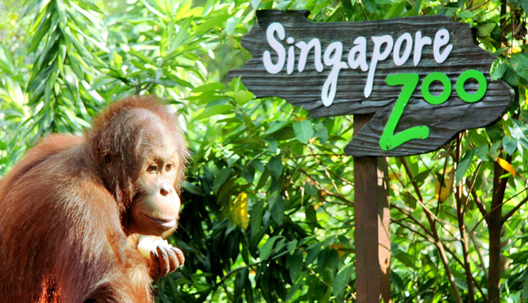 singapore,singapore tourist destination,tourist places in singapore,holidays in singapore,international tourist destinations