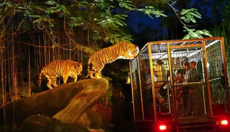 singapore tourist attractions,must-visit places in singapore,top tourist spots singapore,singapore travel destinations,best places to visit in singapore,singapore sightseeing attractions,tourist hotspots singapore,singapore landmarks to see,things to do in singapore for tourists