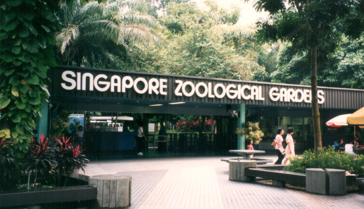 singapore,singapore travel restrictions,singapore travel bubble,singapore travel guide,singapore travel quarantine,singapore travel package,singapore travel visa,singapore travel advisory,singapore travel advice,singapore travel agency,the traveller singapore,singapore travel covid,singapore travel during covid,singapore travel destination,singapore travel declaration,singapore travel entry restrictions,singapore travel from india,singapore travel facts,singapore travel guidelines,singapore travel guide covid,singapore travel history,singapore travel information,singapore travel itinerary