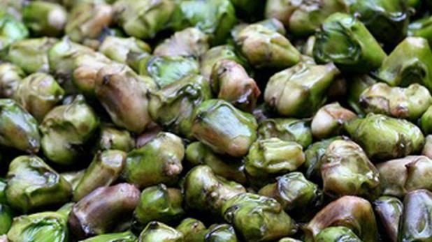 sawan fast,food to give energy,food,fasting tips,sawan  2018