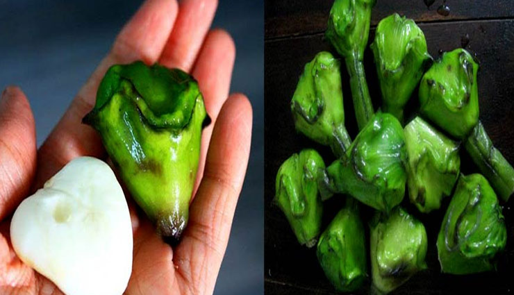 Health tips,chestnut,chestnut eating,benefits of chestnut,relief from headache