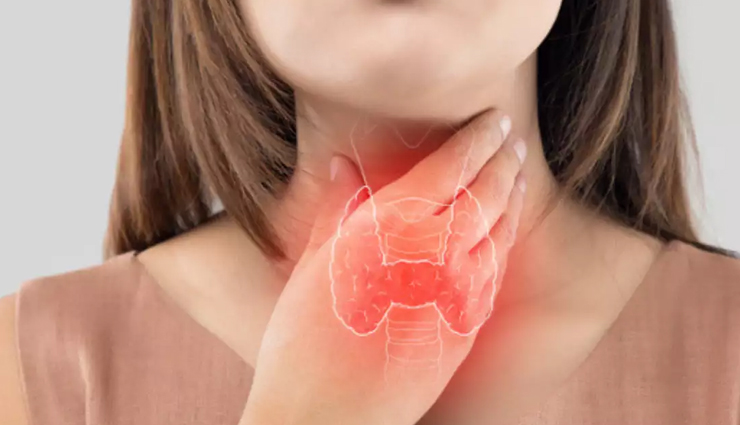 water chestnut nutrition facts,singhara aquatic vegetable,indian water chestnut recipes,singhara flour uses,nutritional benefits of singhara,navratri recipes with water chestnut,singhara chapati and pakora recipes,cooking with singhara in india,water chestnut cultivation methods,health benefits of aquatic vegetables