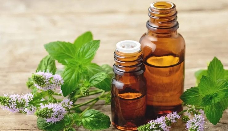 peppermint essential oil,eucalyptus essential oil,lavender essential oil,thyme essential oil,tea tree essential oil,essential oils,essential oils for sinus infection,Health tips,fitness tips