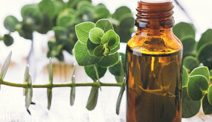 peppermint essential oil,eucalyptus essential oil,lavender essential oil,thyme essential oil,tea tree essential oil,essential oils,essential oils for sinus infection,Health tips,fitness tips