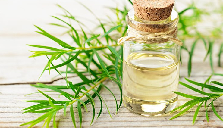 peppermint essential oil,eucalyptus essential oil,lavender essential oil,thyme essential oil,tea tree essential oil,essential oils,essential oils for sinus infection,Health tips,fitness tips