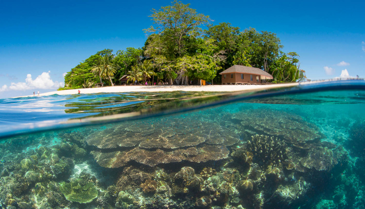 diving,best places for diving,tarvel,holidays,travel guide,travel tips