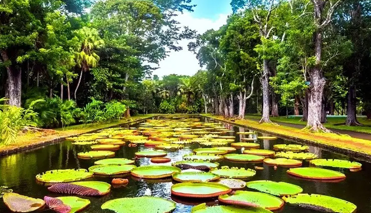 tourist spots in mauritius,honeymoon destination mauritius,places to visit in mauritius,foreign destination,holidays,travel guide,travel tips