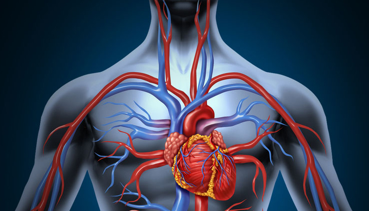 sirsasana health benefits,benefits of headstand pose,mind-blowing sirsasana advantages,health benefits of yoga headstand,sirsasana impact on well-being,sirsasana for mental health,headstand pose benefits for body,sirsasana impact on physical health,yoga headstand benefits for health,sirsasana advantages for mind and body,headstand pose health benefits,sirsasana advantages for vitality,mental health benefits of yoga headstand,sirsasana effects on body wellness,yoga headstand perks for mind and body,sirsasana impact on holistic health,headstand pose benefits for strength,sirsasana advantages for emotional balance,sirsasana benefits for inner well-being,yoga headstand advantages for vitality