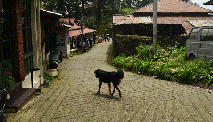 haunted places in uttrakhand,uttrakhand tourism,uttrakhand travel,holidays in uttrakhand