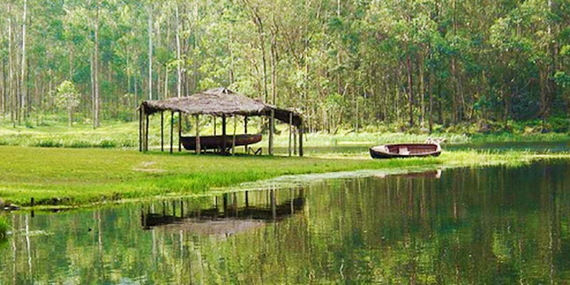 मुन्नार घूमने जाए तो इस हिल स्टेशन को मिस न करे devikulam,munnar,hill station,travel,holidays,kerala