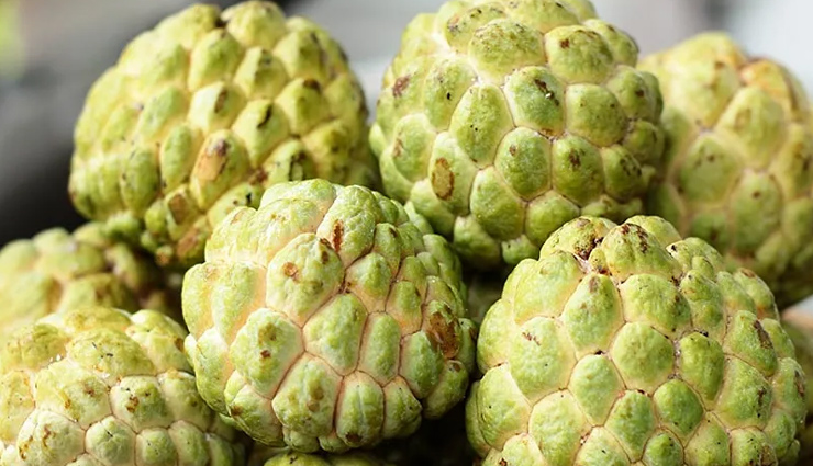 पोषण से भरपूर ये फल पहुंचाते हैं डायबिटीज रोगियों को नुकसान, भूल पड़ सकती हैं भारी diabetics,diabetics care tips,healthy foods for diabetics patients,un healthy food diabetics patient,patient care tips,diabetes patient care tips,Health,Health tips,healthy living