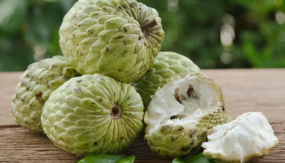 सीताफल बासुंदी : उत्सव के माहौल को और खुशनुमा बना देगी यह मिठाई, सेहत के लिए भी लाभकारी #Recipe sitafal basundi,sitafal basundi sweet dish,sitafal basundi ingredients,sitafal basundi recipe,sitafal basundi healthy,sitafal basundi tasty,sitafal basundi festival,sitafal basundi diwali