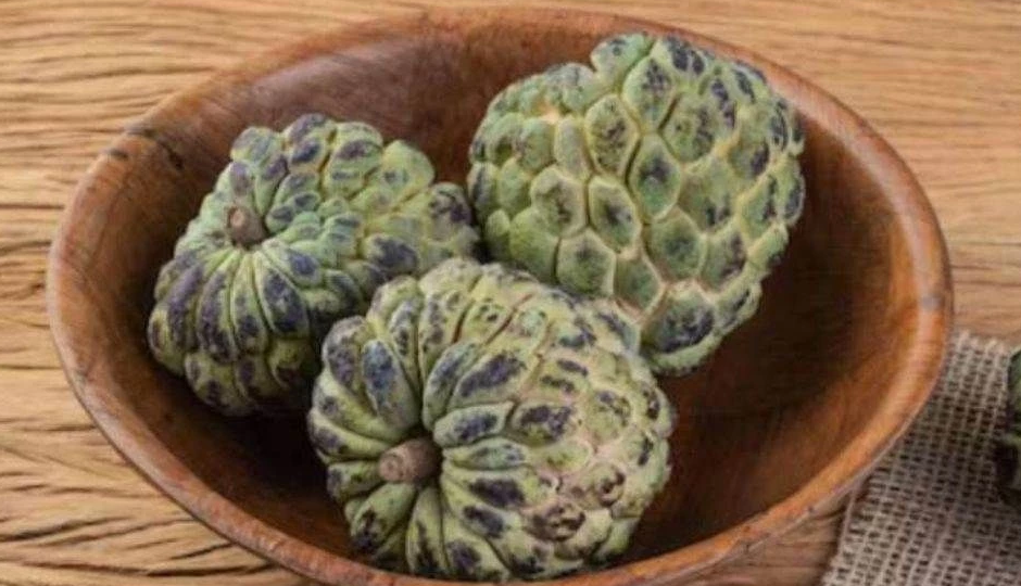 सीताफल रबड़ी : नवरात्रि में इस मिठाई के भोग से मनाएं देवी मां को, इसका आप पर भी चल जाएगा जादू #Recipe sitaphal rabdi,sitaphal rabdi sweet dish,sitaphal rabdi prasad,sitaphal rabdi bhog,sitaphal rabdi fast,sitaphal rabdi navratri,sitaphal rabdi tasty,sitaphal rabdi dessert,sitaphal rabdi ingredients,sitaphal rabdi recipe,custard apple