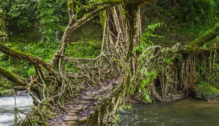 must visit sites in india,india,must visit places in india,hill forts of rajasthan,ajanta and ellora caves,nubra valley,varanasi,the great rann of kutch,majuli,taj-ul masajid,living root bridges of meghalaya,thanumalayan temple,the khajuraho group of monuments