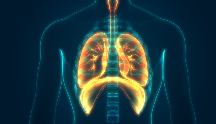 sitopaladi churna,health benefits of sitopaladi churna,Health tips,fitness tips