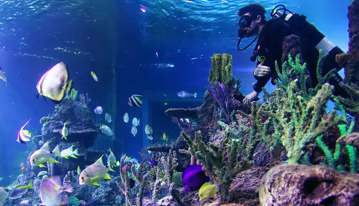 skegness,places to visit in skegness,tourist attraction in skegness,skegness model village,picnic at hardys animal farm,relax at skegness beach,village church farm,skegness aquarium