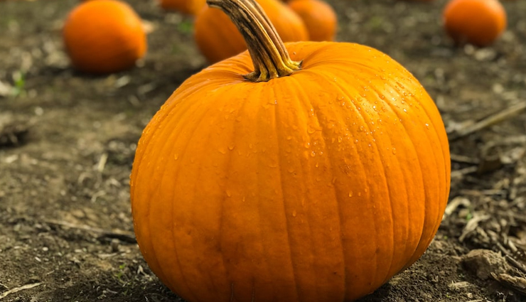 skin lightening,home remedies for skin lightening,skin care tips,beauty tips